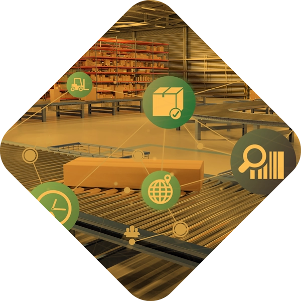 Sorter e-commerce automatyzujący rozdzielanie paczek w magazynie